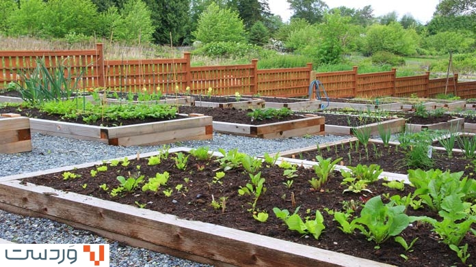 community garden 1